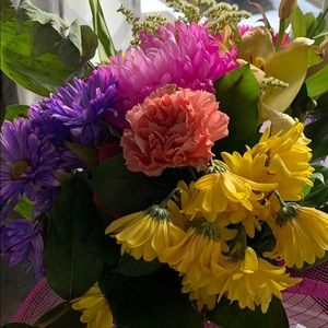 Meet your Posher, Diane